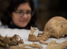 Trinity College Dublin scientists have conducted a DNA genome analysis on remains from a Roman cemetery in York, England.