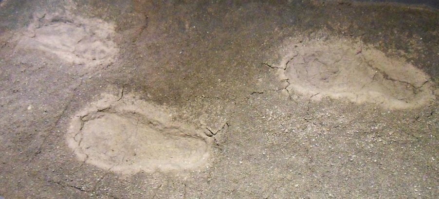 Footprints found at Yenikapı. Photo: Wikipedia