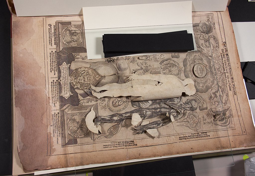 Columbia librarians preparing the medical pop-up book for digitization. Credit: Augustus C. Long Health Sciences Library/Columbia University Medical Center