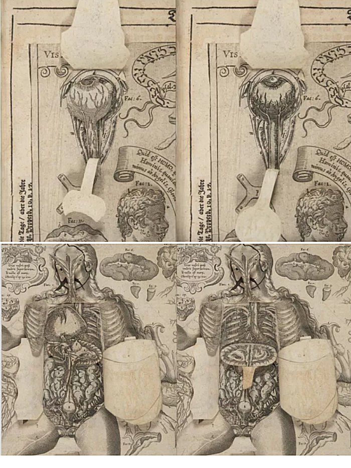 With the assistance of Columbia’s conservators, imaging staff used special tools such as spatulas and fine tipped brushes to gently lift the flaps and then place the glass over the section. Credits: Columbia University Libraries’ Conservation Laboratory.