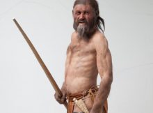 Ötzi the Iceman