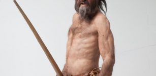 Ötzi the Iceman