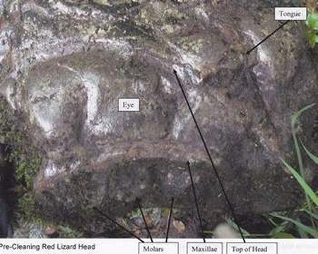 Red lizard rock