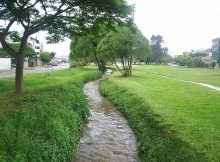 Prehispanic canals built by the Lima culture and extended by the Wari and Inca Ichma today enables the existence of parks and other public green areas. Credits: EFE