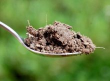 Teaspoon soil