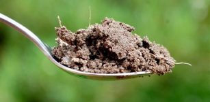 Teaspoon soil