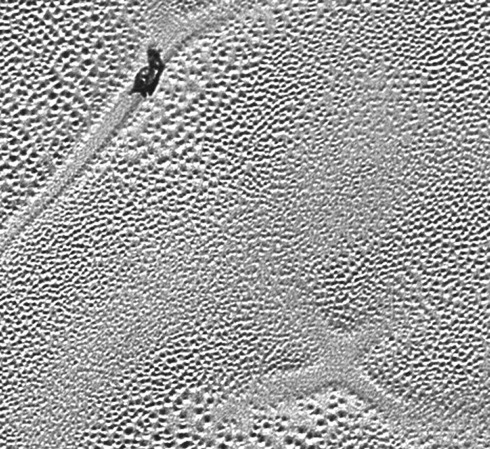 X" on Pluto's icy surface ofSputnik Planum probably marks a spot where four separate “cells” of nitrogen ice came together. Credits: NASA New Horizons