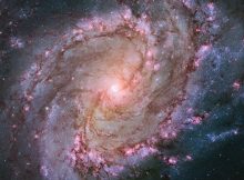 Spiral Galaxy M83: The Southern Pinwheel Image Credit: NASA, ESA, Hubble Heritage Team (STScI/AURA), and W. P. Blair (JHU) et al.