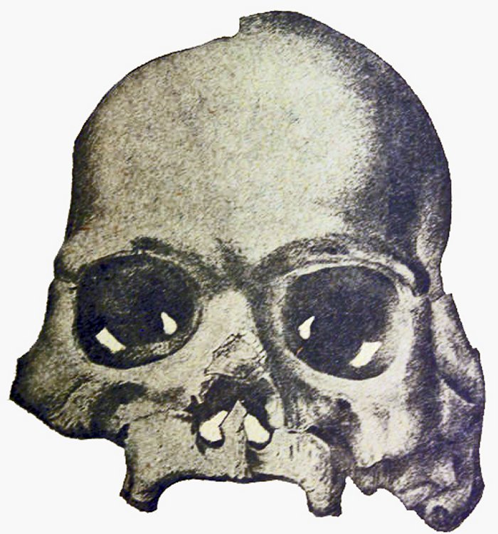 Drawing of the Calaveras Skull, an archaeological hoax that geologist Josiah Whitney believed to prove that humans had existed in the Pliocene age. Source: Wikipedia