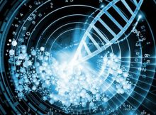 DNA storage