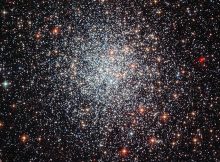 n a manner of speaking, globular clusters appear capable of “adopting” baby stars -- or at least the material with which to form new stars -- rather than creating more “biological” children as parents in a human family might choose to do. Photo: Norrhwestern University