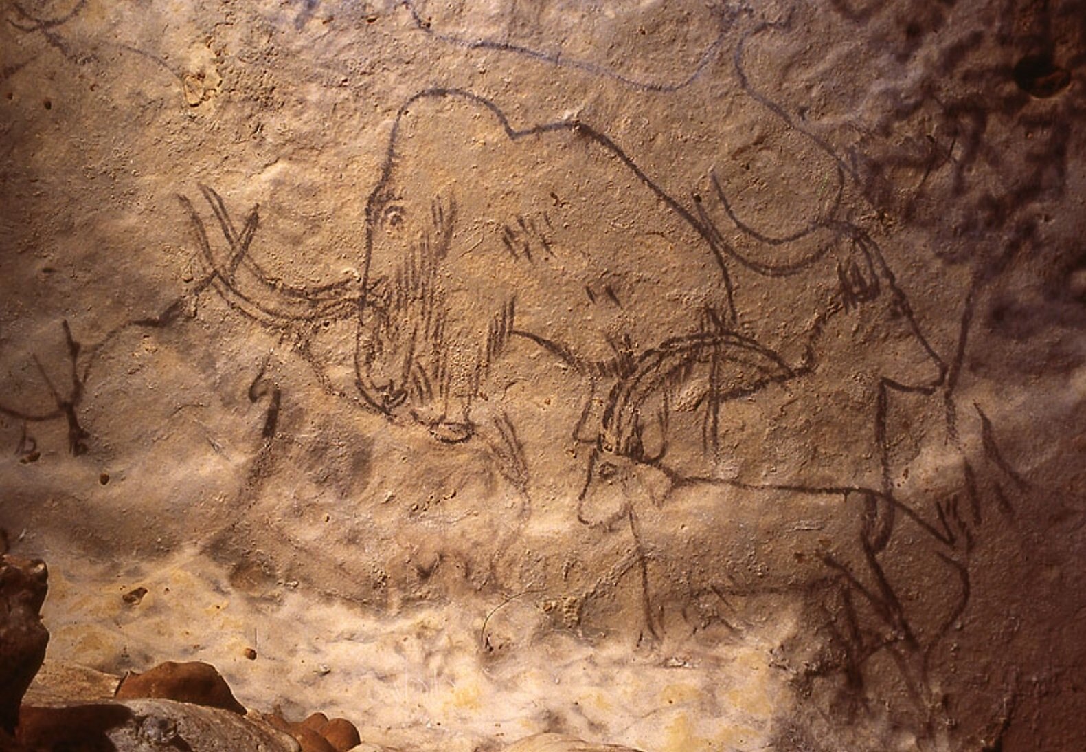 Detail of the ceiling: Le Grand-Père/The Grotte de Rouffignac