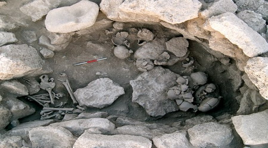 The skulls were found with the faces smashed in. Image: Consejo Superior de Investigaciones Cientificas