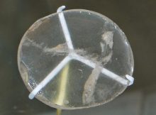 Nimrud lens