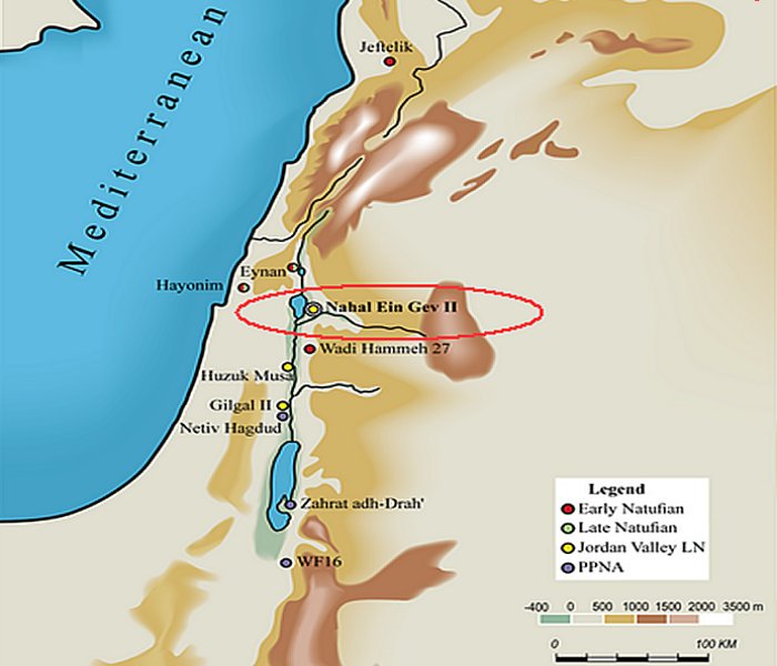 many people lived in the area, which is estimated to have covered roughly 1200 square yards.