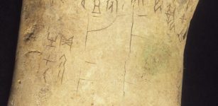 The inscriptions on the bones provide much insight into many aspects of early Chinese society, such as warfare, agriculture, hunting, medical problems, meteorology and astronomy. Credits: University of Cambridge