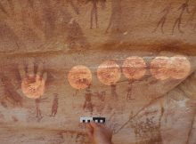 These tiny hands (see highlighted circles) are not human, but actually match those of the desert monitor lizard. Credit: Emmanuelle Honoré