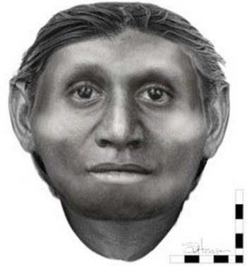 The hobbit’s face, according to a forensic facial approximation. University of Wollongong