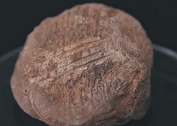 New analysis of the fossil – originally found in Co. Clare in 1903 – provides an undisputed evidence that people existed in Ireland during the preceding Palaeolithic period at 10,500 BC, some 12,500 years ago. Credits: IT Sligo