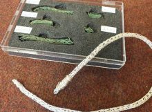 A whip used by monks to chastise themselves has been found at Rufford Abbey. The medieval item was found in 2014 but a recent discovery has revealed its importance. Credits: Nottinghamshire County Council