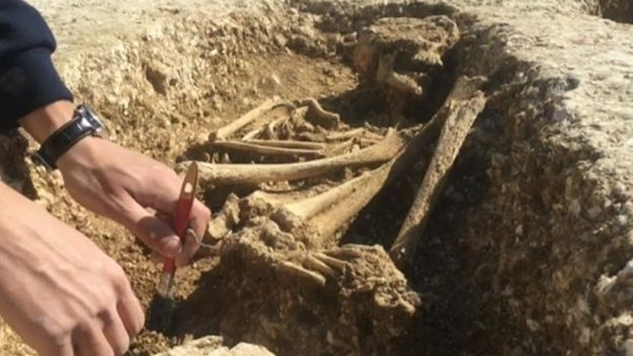 Archaeologists say that skeletons could belong to members of the same families on Salisbury Plain. Photo: Wessex Archaeology