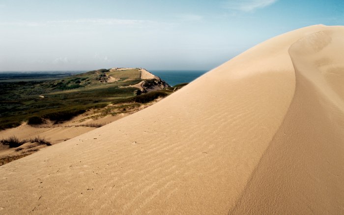 Råbjerg Mile: Largest Moving Sand Dune In Northern Europe