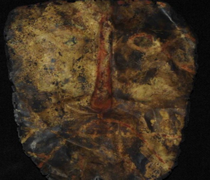 A gold/silver mask, possibly related to the textile finds (Image: ©Mark Aldenderfer)