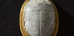 A 3,700-year-old scarab seal found by a birdwatcher at Tel Dor, in northern Israel, dated to the 13th Dynasty. (Tel Dor Excavations, courtesy) via The Times of Israel