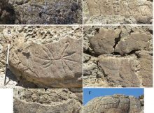 Winnemucca petroglyphs. Credits: Benson et al. (2013)