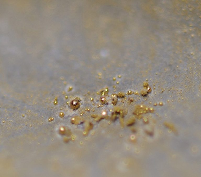 Tough Bacteria That Turns Toxic Chemicals Into 24Karat Gold