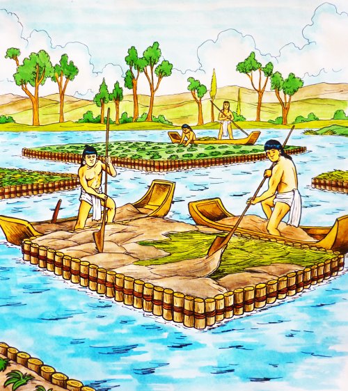 Chinampas were artificial islands created by the Aztecs to improve agriculture.