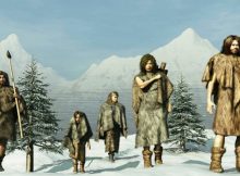 Last Ice Age Survivors