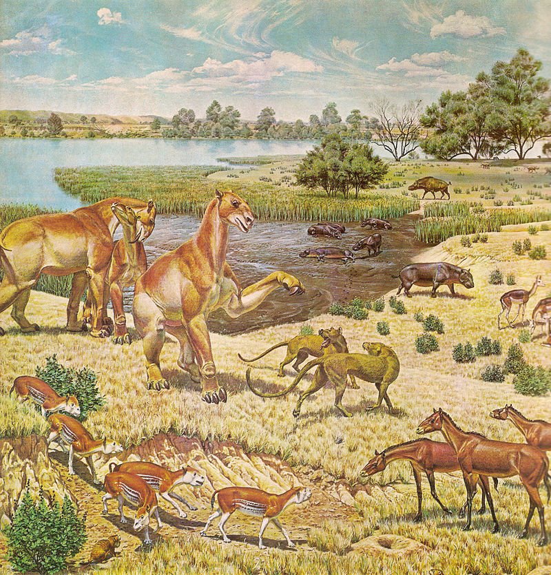 Miocene fauna of North America