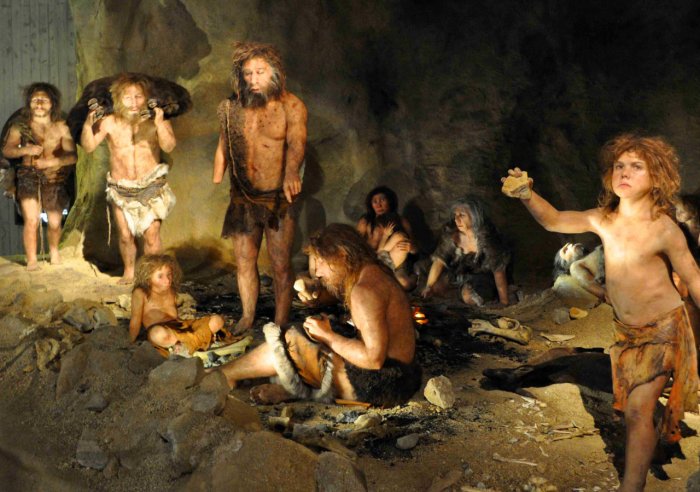 neanderthals