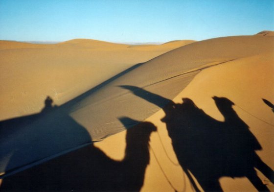 Sahara