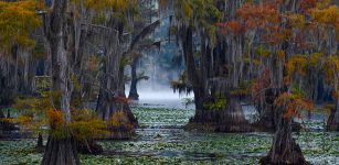 It’s the perfect place to find your inner peace among the stillness of the trees.