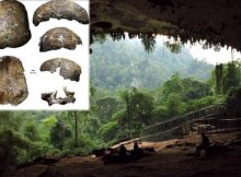 Deep skull discovered in Niah Cave