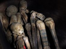 fire mummies
