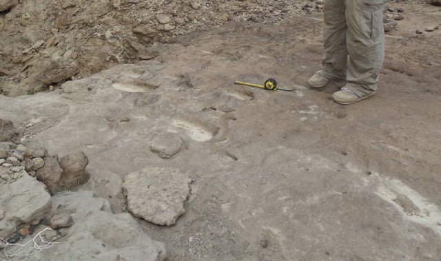 800,000-year-old footprints discovered in Eritra