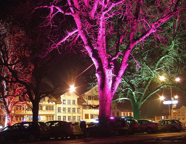 Glowing trees