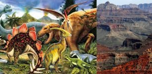 Dinosaurs in Grand Canyon