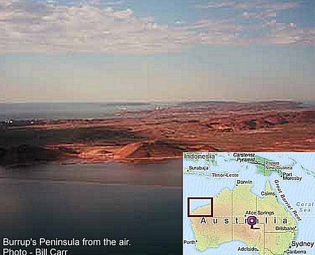 Petroglyphs in Pilbara
