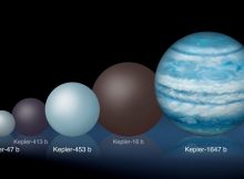 Comparison of the relative sizes of several Kepler circumbinary planets. Kepler-1647 b is substantially larger than any of the previously known circumbinary planets. Credits: Lynette Cook