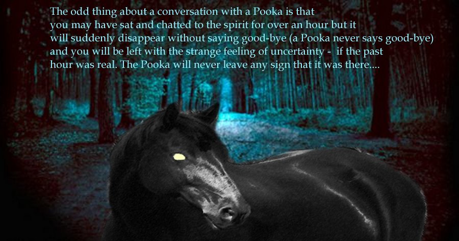 According to legend, a Pooka, which lives in the mountains and hills, is a quick and skillful shape shifter, capable of assuming a great variety of terrifying or nice and good-looking and trustworthy forms.