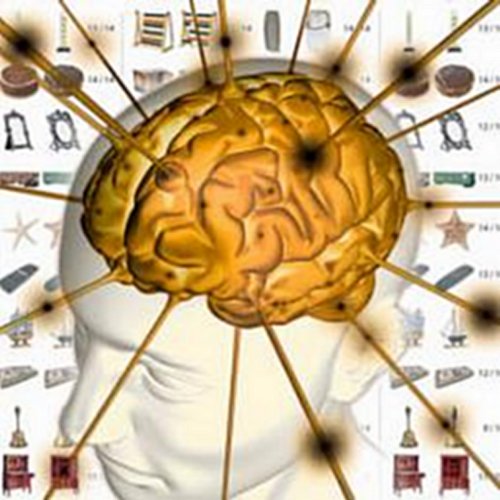 Super brain