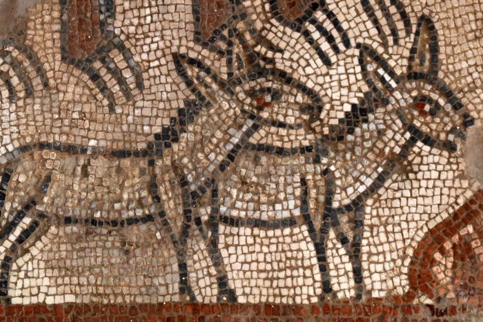 Bible scenes discovered on ancient mosaic floor