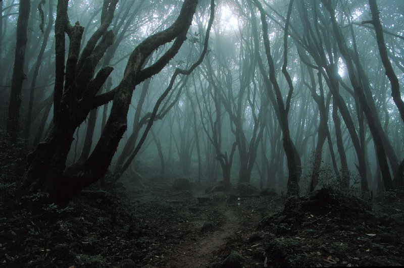 Orang Bunian: Mysterious Invisible Whistle People Living In Forests In Malay Folklore