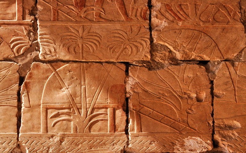 Relief depicts incense and myrrh trees obtained by Hatshepsut's expedition to Punt. Image via Wikipedia
