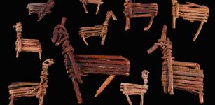 Split twig figurines - The Tusayan People