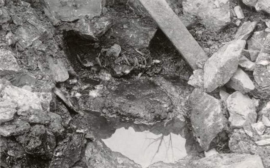 A 800-year-old skeleton discovered in a well in Norway confirms the saga of King Sverri.